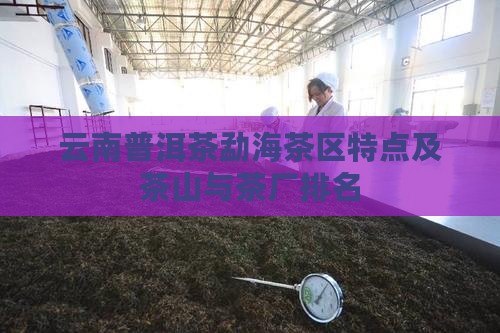 云南普洱茶勐海茶区