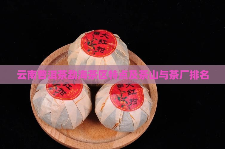 云南普洱茶勐海茶区