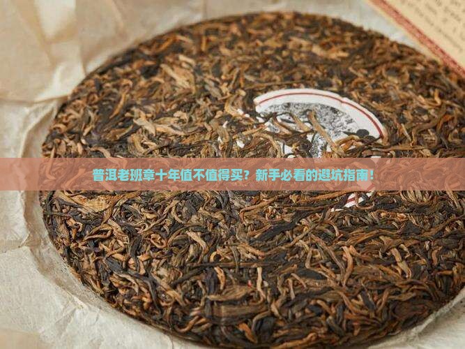 普洱老班章十年