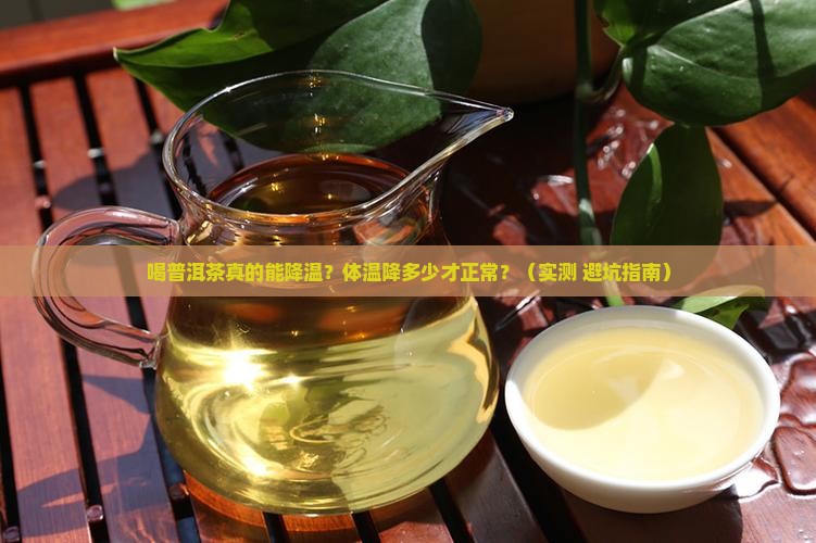 喝普洱茶体温降低多少正常