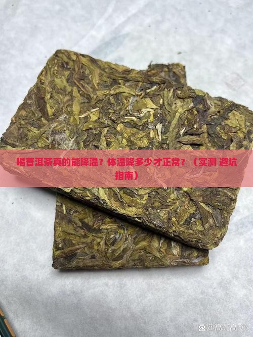 喝普洱茶体温降低多少正常