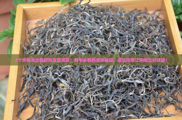 陈皮普洱茶桔普茶怎么泡