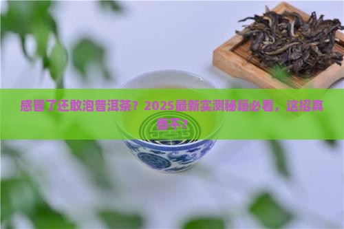 感冒可以泡普洱茶喝吗