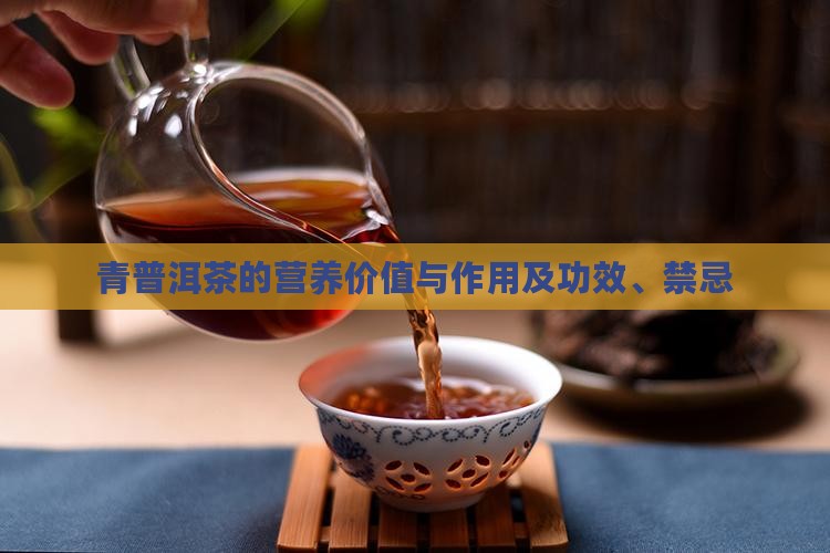 青普洱茶的营养价值与作用