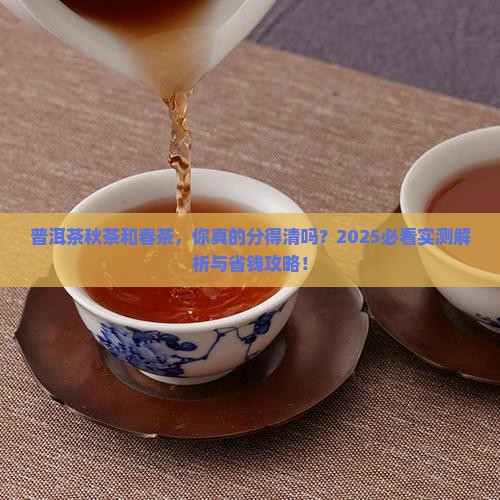 普洱茶秋茶和春茶特征