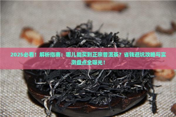 哪儿能买到普洱茶