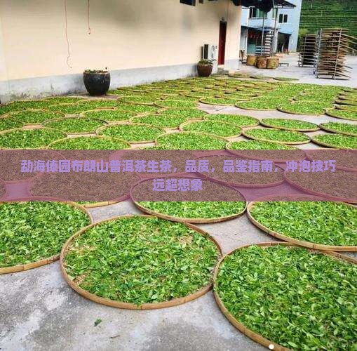 勐海傣园布朗山普洱茶生茶
