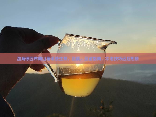 勐海傣园布朗山普洱茶生茶