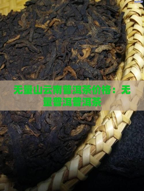 滇青语禅无量山普洱茶