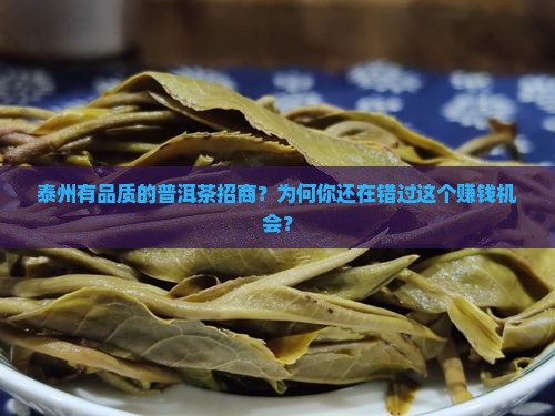 泰州有品质的普洱茶招商