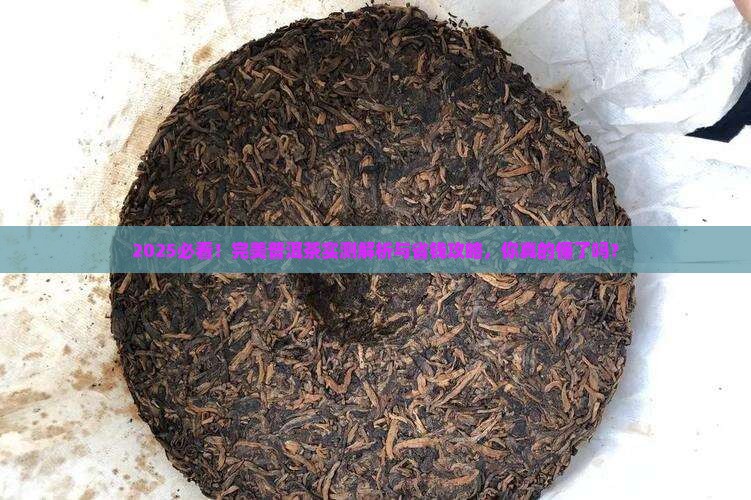 完美百家普洱茶讲解