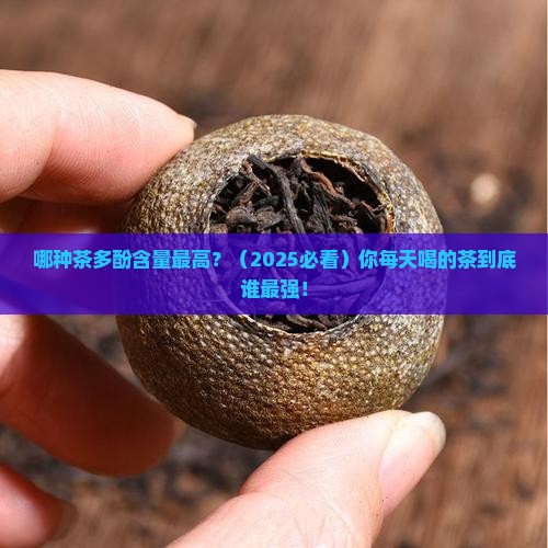 什么茶里的茶多酚含量最高