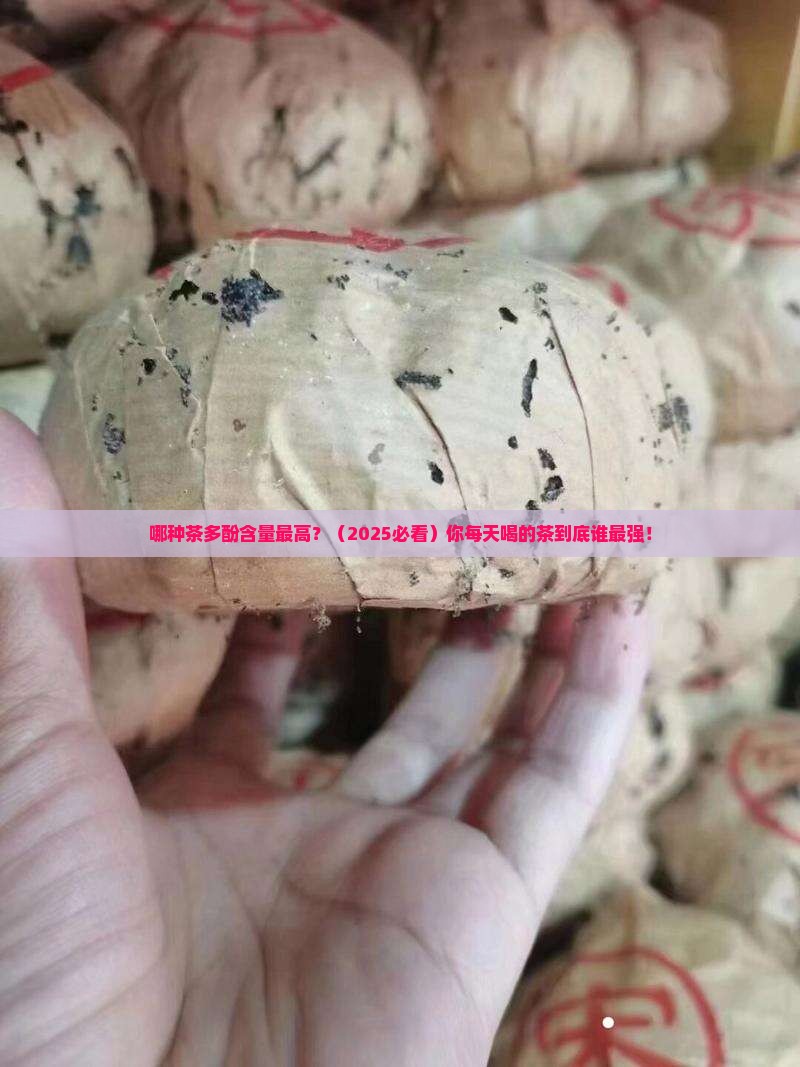 什么茶里的茶多酚含量最高