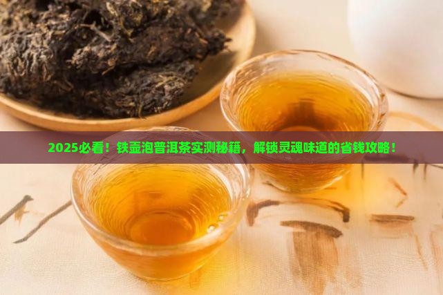 怎样用铁壶泡普洱茶