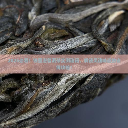 怎样用铁壶泡普洱茶