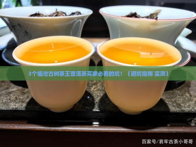 临沧古树茶王普洱茶