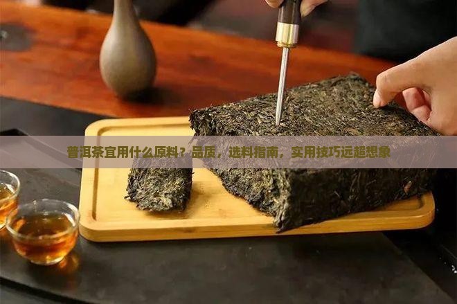 普洱茶宜用什么原料