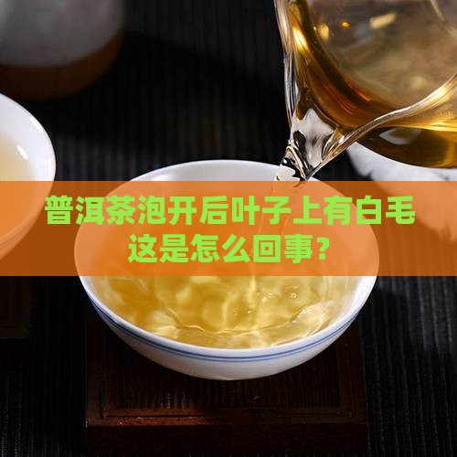 普洱茶泡开后叶子上有白毛