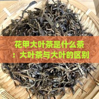 花甲大叶茶是什么茶