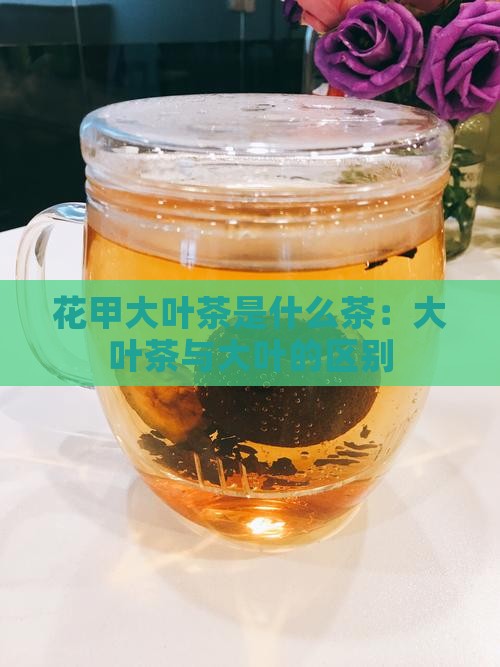 花甲大叶茶是什么茶