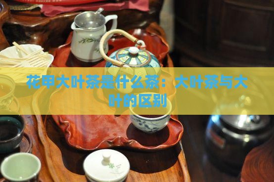 花甲大叶茶是什么茶