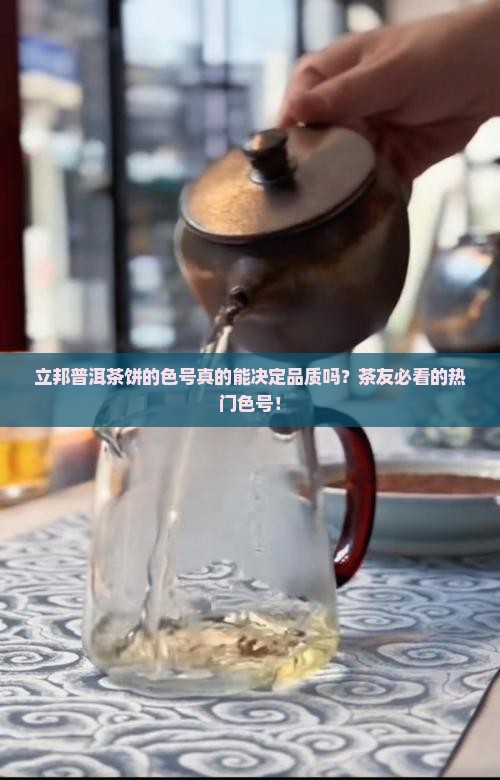 立邦普洱茶饼的色号