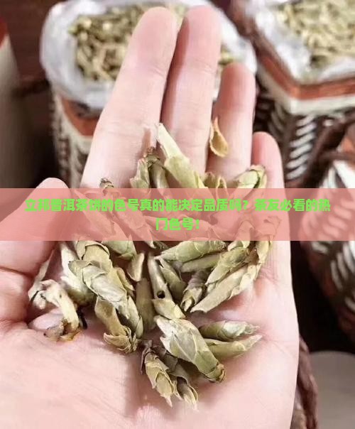 立邦普洱茶饼的色号