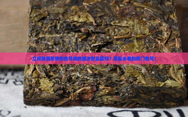立邦普洱茶饼的色号