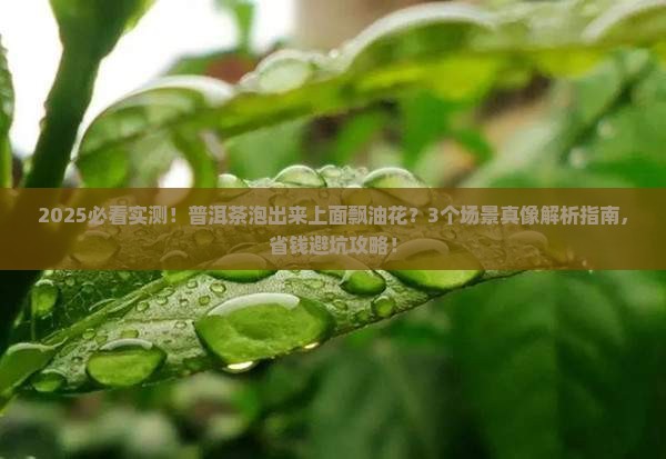 普洱茶泡出来上面飘的油花