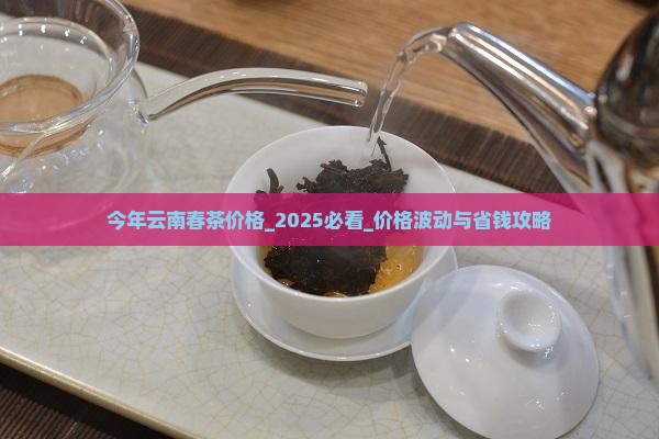 今年云南春茶价格