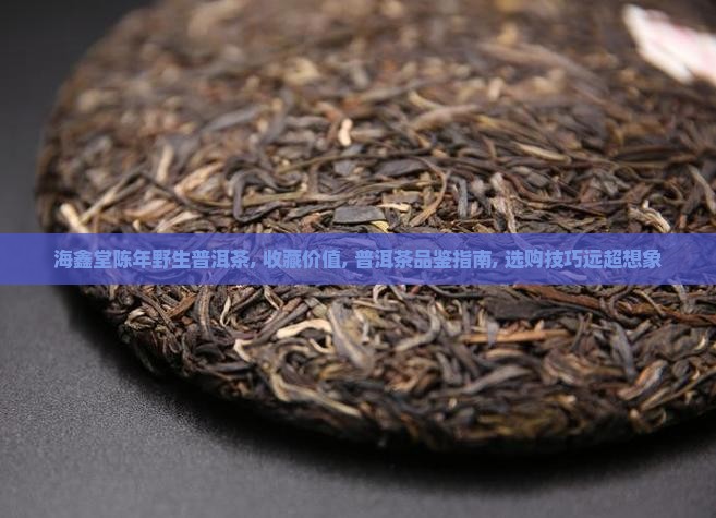 海鑫堂陈年野生普洱茶