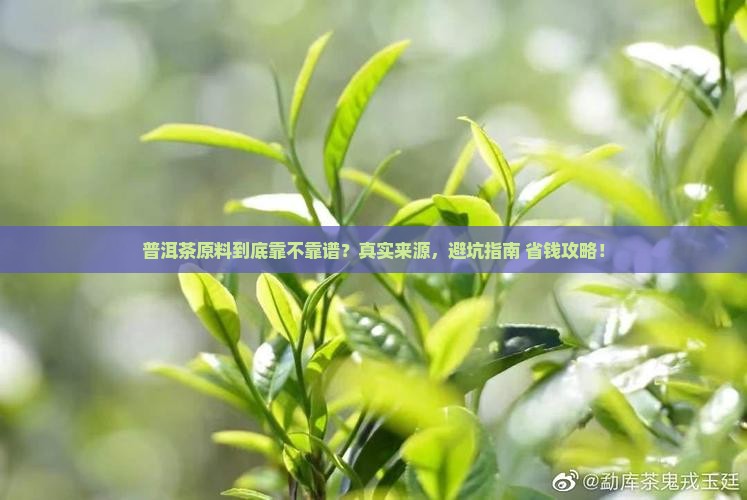 普洱茶品牌原料