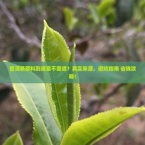 普洱茶品牌原料