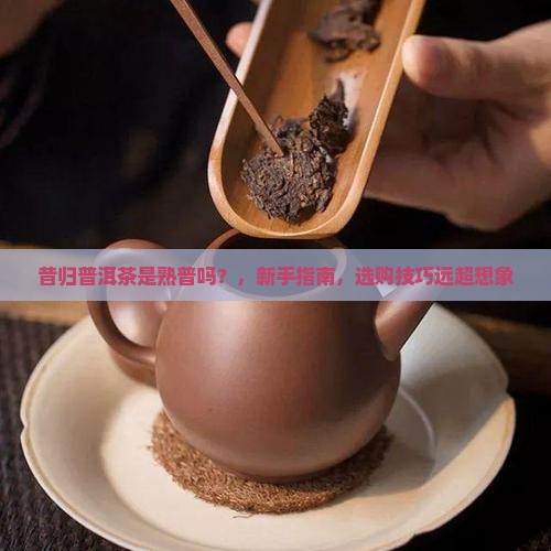 昔归普洱茶是熟普吗
