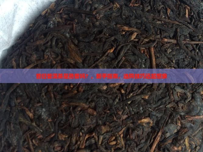 昔归普洱茶是熟普吗