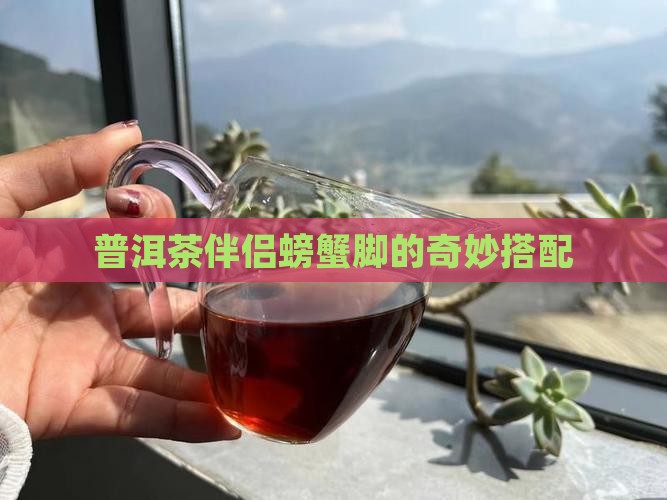 普洱茶伴侣螃蟹脚