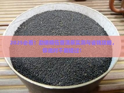 勐傣的糯伍普洱茶怎么样 勐傣的糯伍普洱茶怎么样