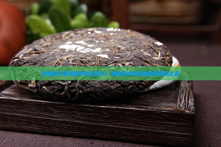 黑金刚泡普洱茶吗