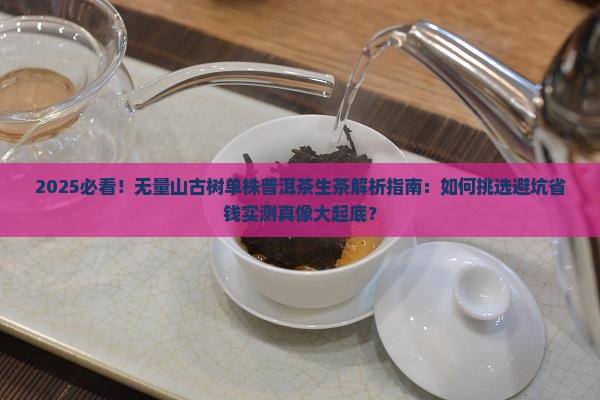 无量山古树单株普洱茶生茶