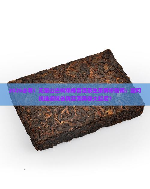 无量山古树单株普洱茶生茶