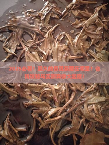 最久的普洱茶在哪里