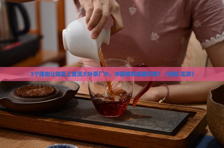 普洱大叶茶厂水中国粹