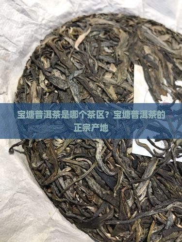 宝塘普洱茶是哪个茶区