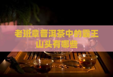 老班章有哪些山头
