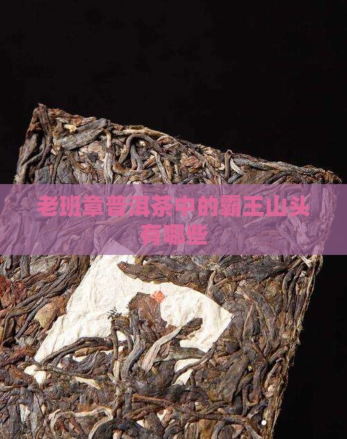 老班章有哪些山头