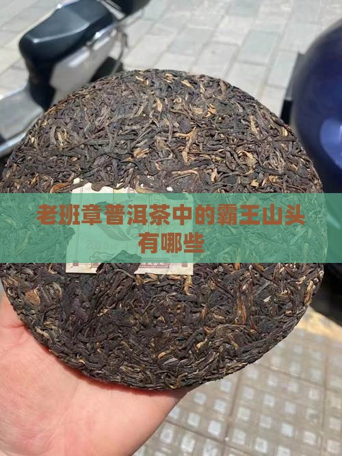 老班章有哪些山头