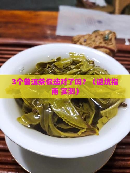 各品牌的普洱茶区别大吗