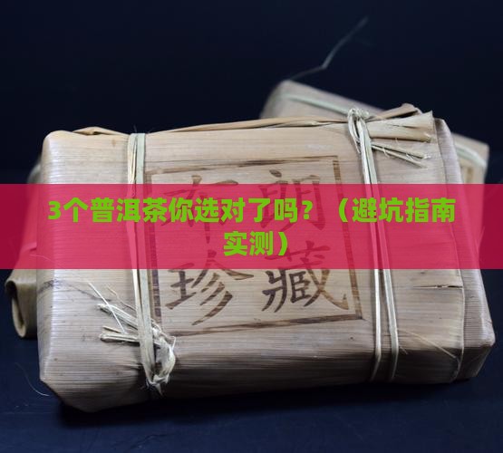 各品牌的普洱茶区别大吗