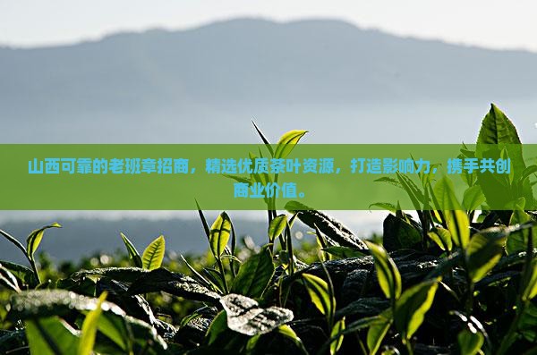 山西可靠的老班章招商
