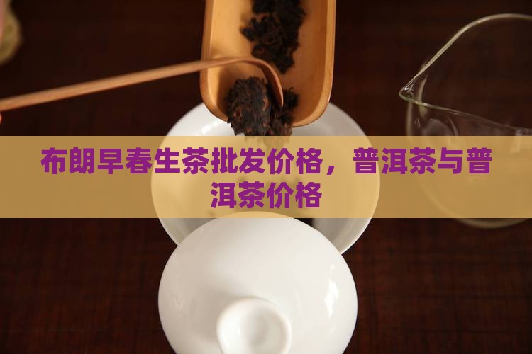 布朗山早春普洱茶价格